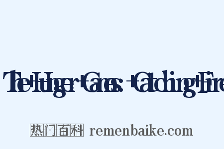 The+Hunger+Games:+Catching+Fire是什么意思的图片